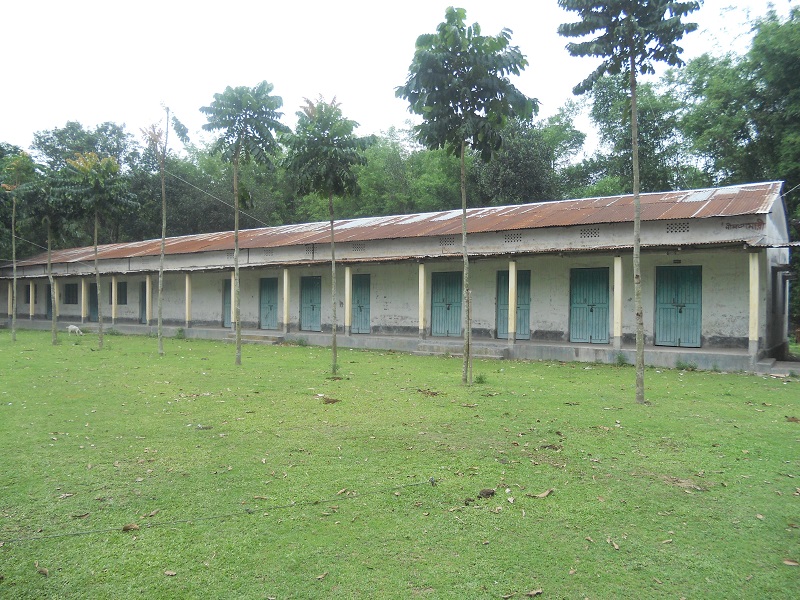 Domar Government College  Gallery